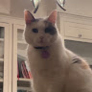 Meet your Posher, Mehdi